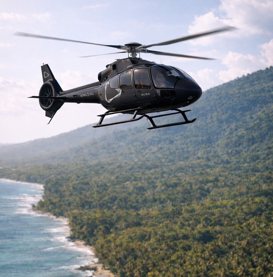 Helicopter transfer